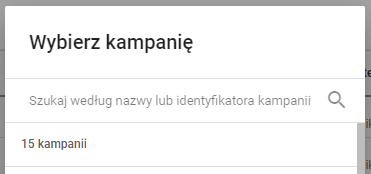 Opcje kampanii w Google Ads